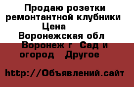 Продаю розетки ремонтантной клубники › Цена ­ 25 - Воронежская обл., Воронеж г. Сад и огород » Другое   